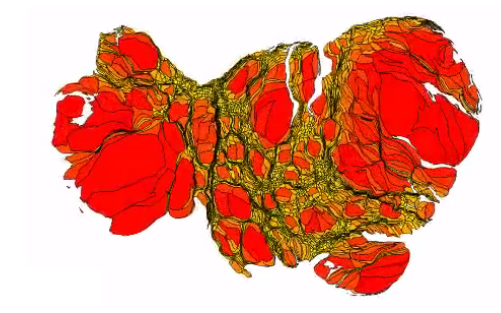 US land area by wealth